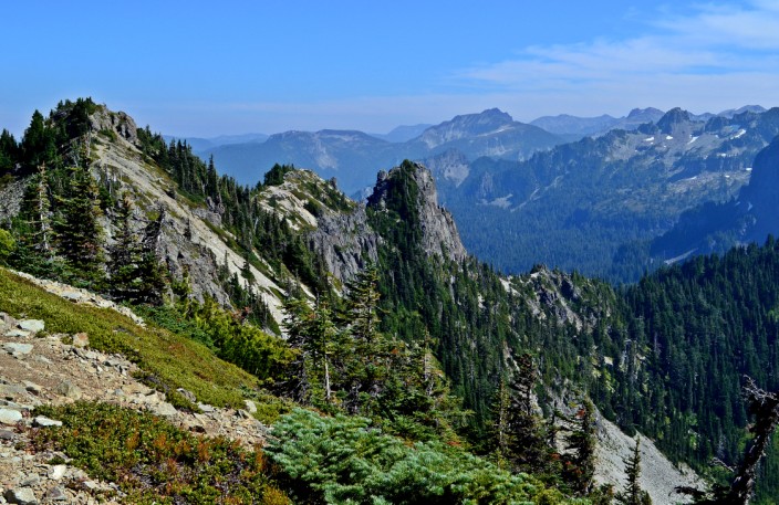 Ridgetop of Tolmie Peak